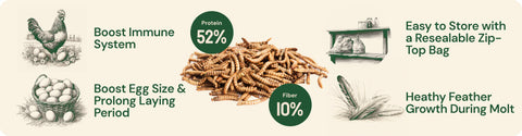 Hatortempt dried mealworms for chickens product highlights