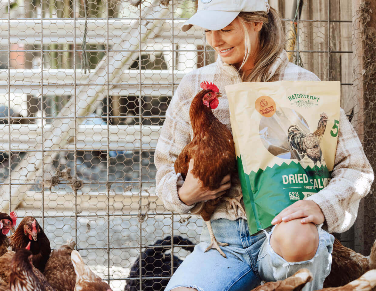Woman holding a chicken and a bag of Hatortempt's dried mealworms in a chicken coop with a hen on her lap.