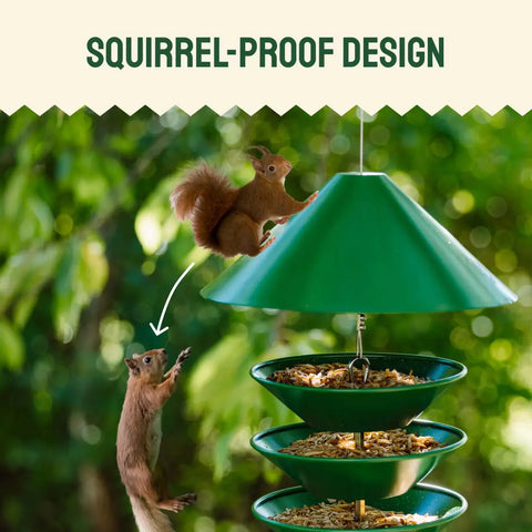 Squirrel-proof bird feeder.