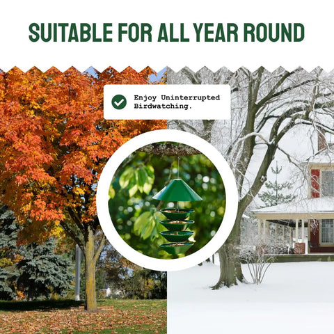 Green bird feeder.