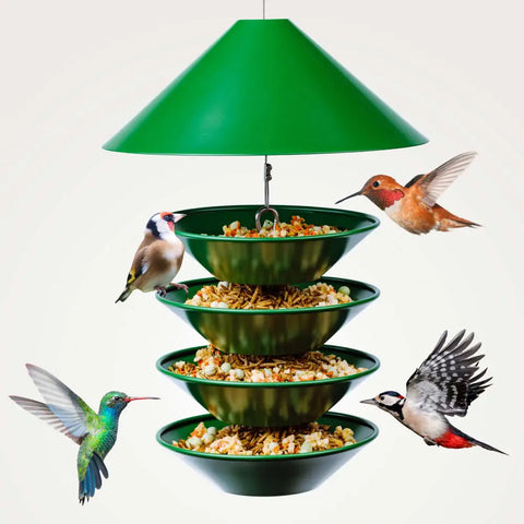 Green tiered bird feeder with various birds.