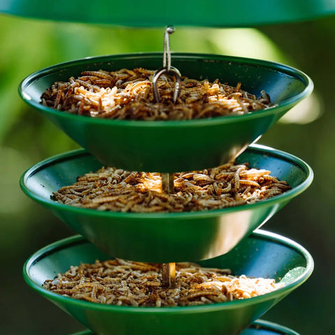 Three-tiered green bird feeder filled with mealworms.