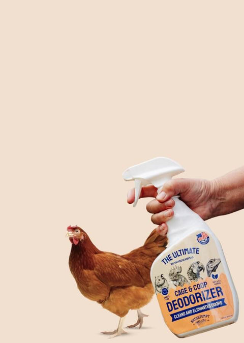 Hand holding a bottle of 'Hatortempt's Cage & Coop Deodorizer' with a chicken in the foreground on a beige background