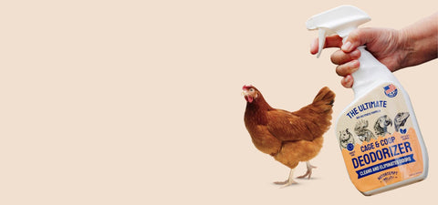 Hand holding a bottle of Hatortempt Cage and Coop Deodorizer with a chicken on a beige background