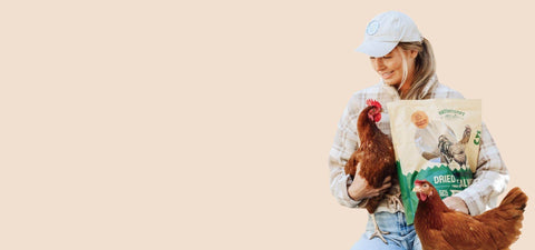 Woman holding a bag of Hatortempt's Dried Mealworms for Chickens on a beige background
