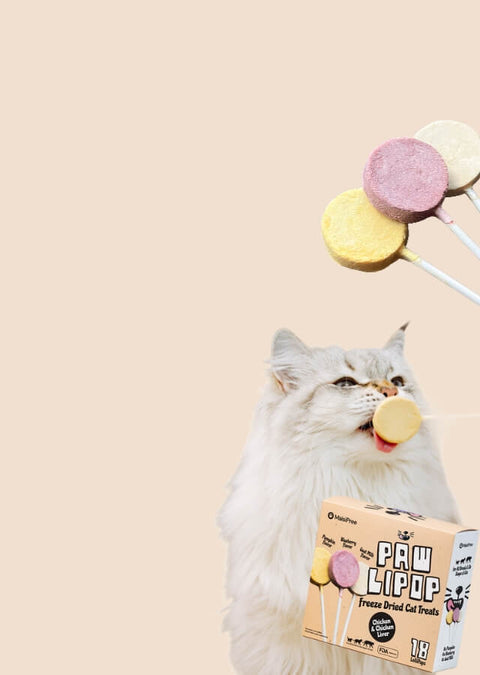 Cat playing with MalsiPree's Paw Lollipop treats on a beige background