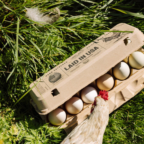 Laid in USA: Reusable, Customizable Eco-Friendly Egg Cartons (Bulk)
