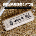 Laid in USA: Reusable, Customizable Eco-Friendly Egg Cartons (Bulk)