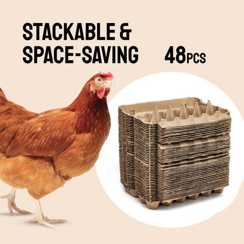 Laid in USA: Reusable, Customizable Eco-Friendly Egg Cartons (Bulk)