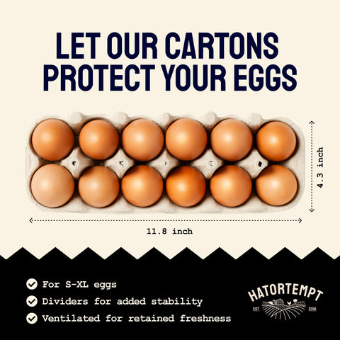 Laid in USA: Reusable, Customizable Eco-Friendly Egg Cartons (Bulk)