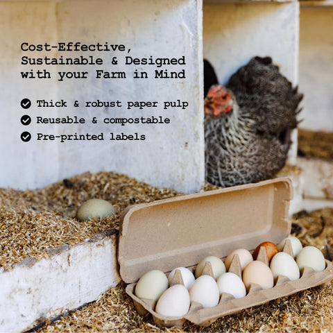 Laid in USA: Reusable, Customizable Eco-Friendly Egg Cartons (Bulk)
