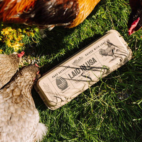 Laid in USA: Reusable, Customizable Eco-Friendly Egg Cartons (Bulk)