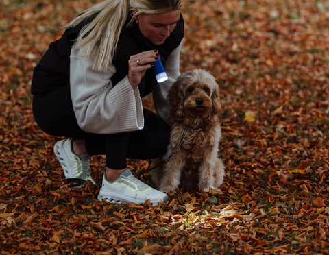 Woman and dog in autumn leaves, woman holding MalsiPree's poop-bag dispenser with attached flashlight.