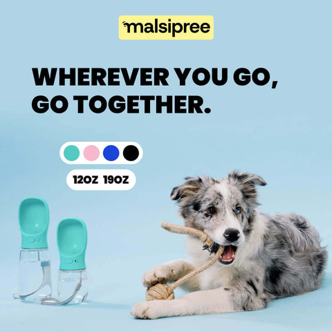 Dog playing with a chew toy next to two differently sized MalsiPree's pet water bottles with attached bowls, on a light blue background.