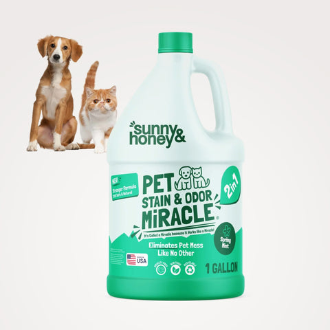 Sunny & Honey Pet Stain & Odor Remover 1 Gal